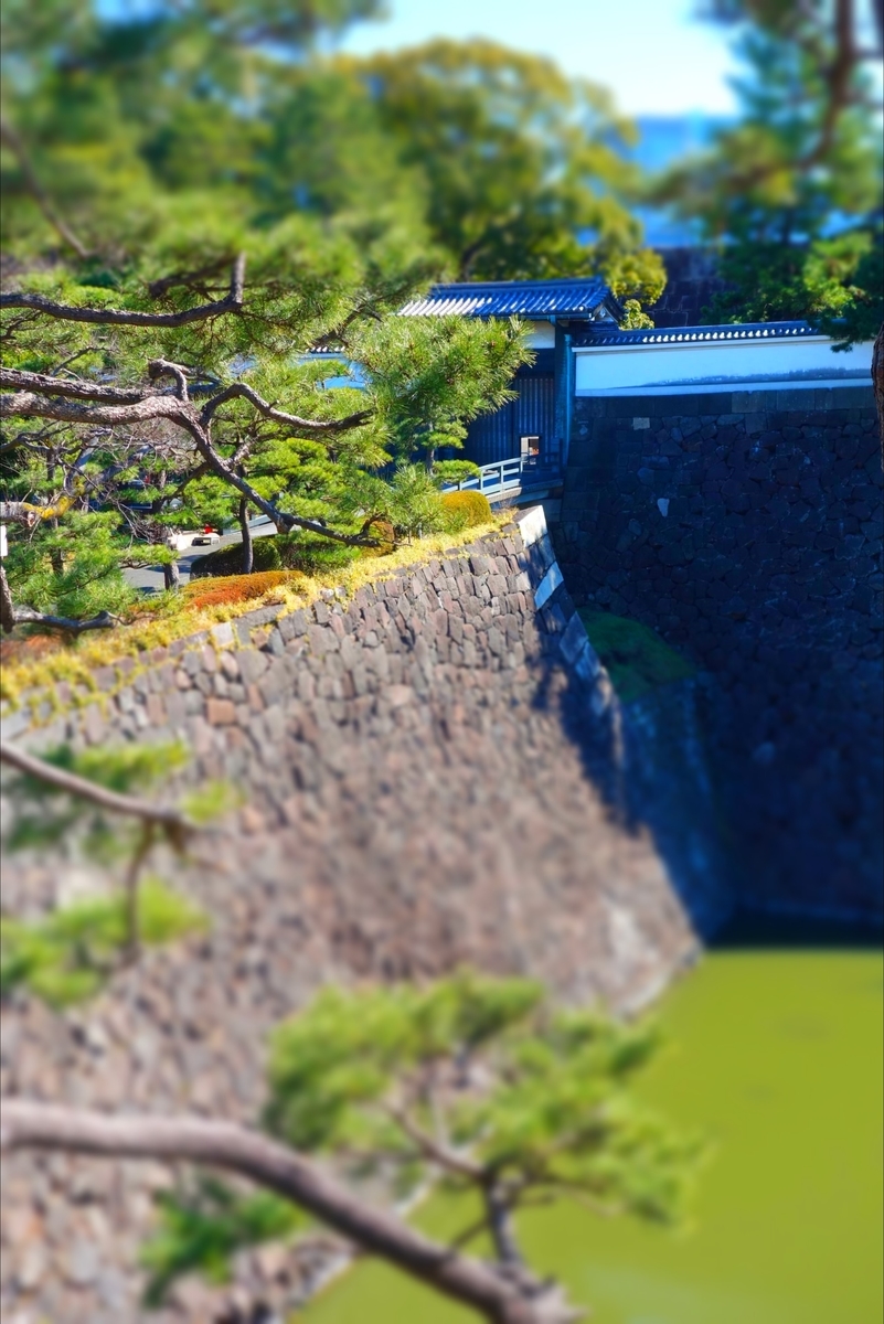 f:id:arashi_golf:20210319214330j:plain