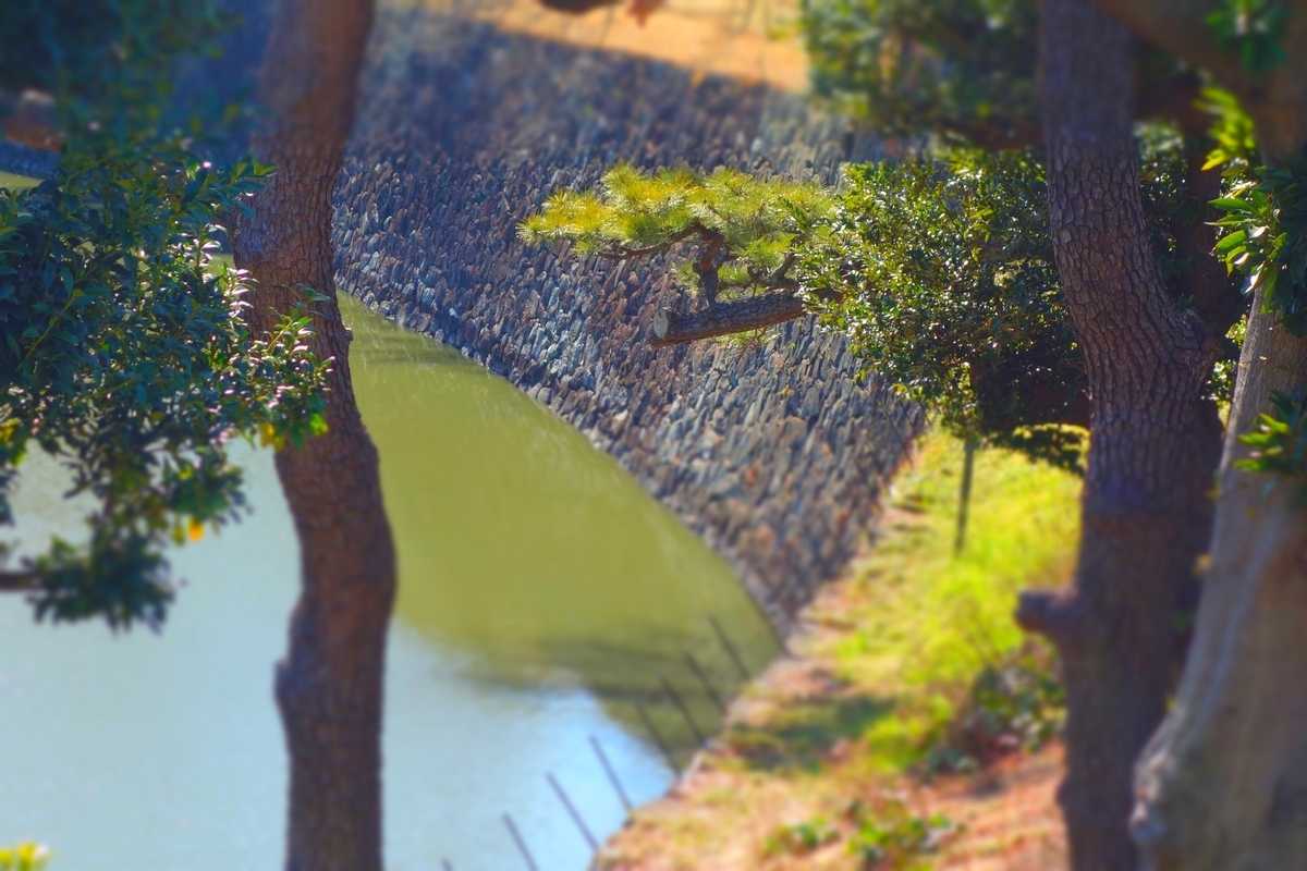 f:id:arashi_golf:20210319214403j:plain