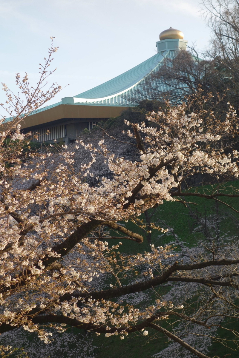 f:id:arashi_golf:20210324214100j:plain