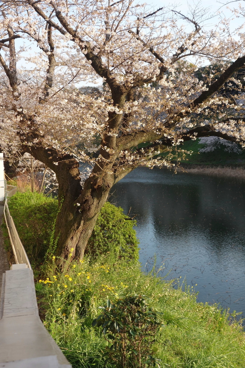 f:id:arashi_golf:20210324214232j:plain