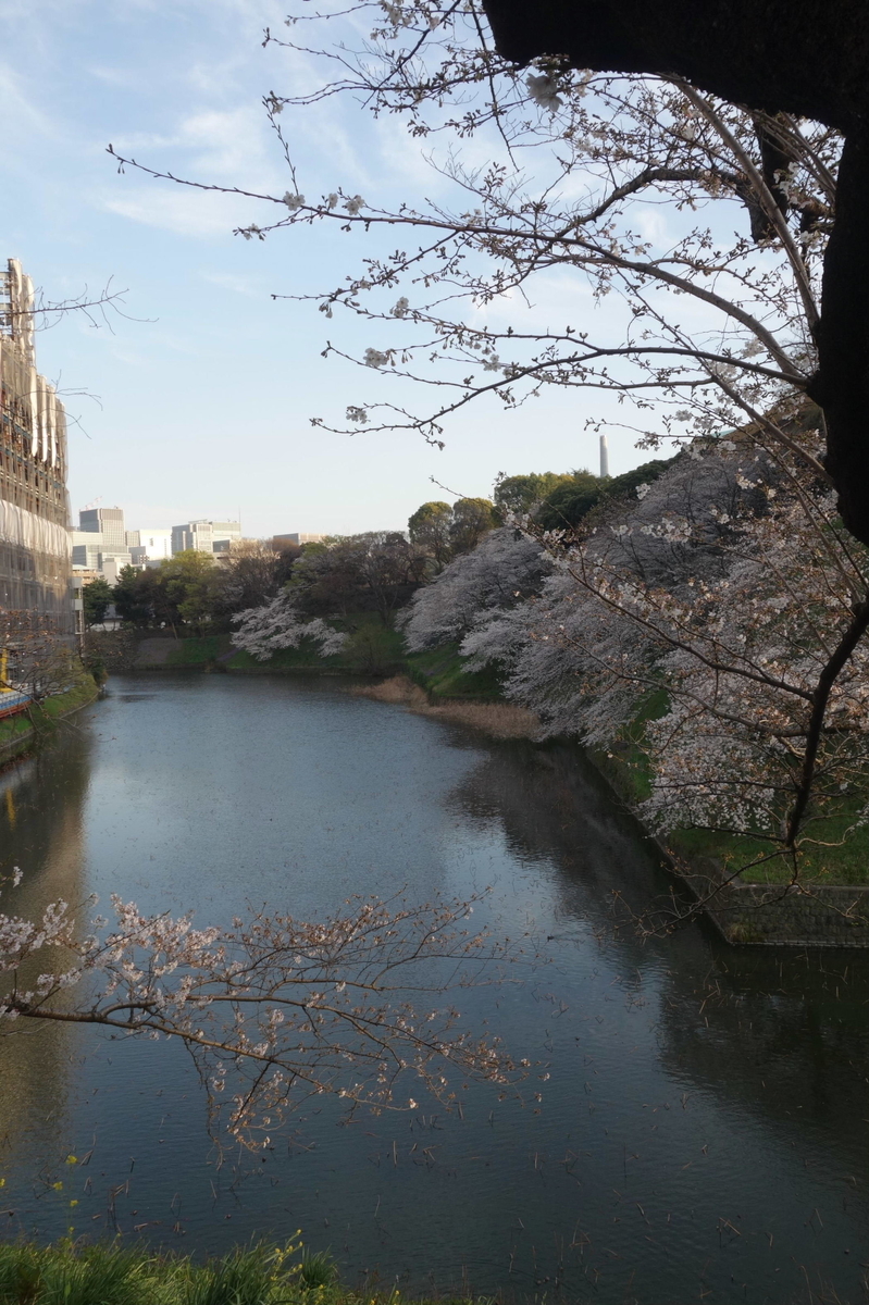 f:id:arashi_golf:20210324214330j:plain