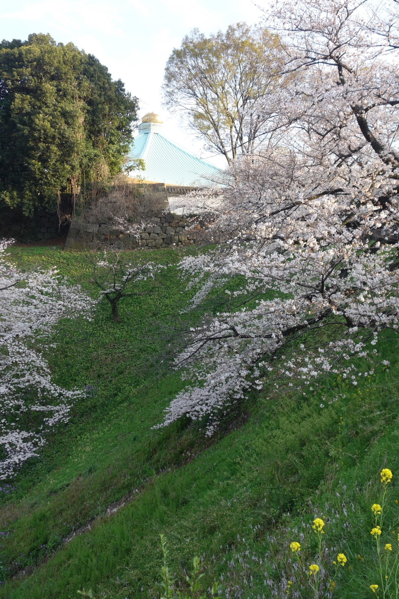 f:id:arashi_golf:20210324214606j:plain