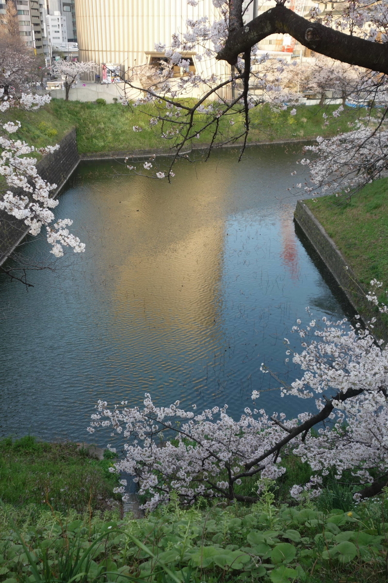 f:id:arashi_golf:20210324214906j:plain