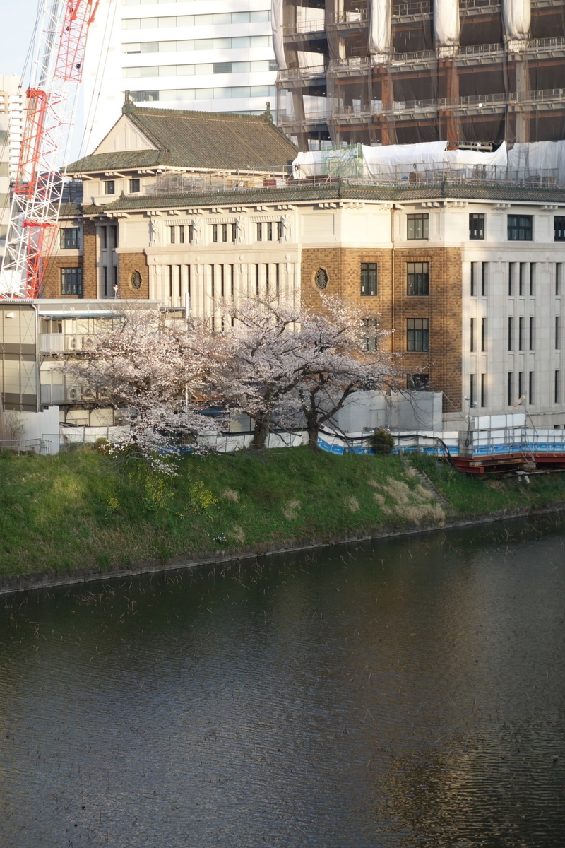f:id:arashi_golf:20210324215224j:plain