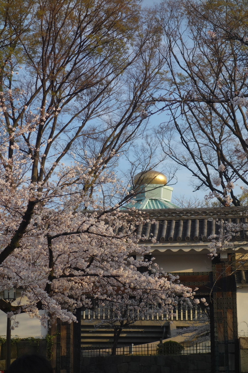 f:id:arashi_golf:20210325195927j:plain