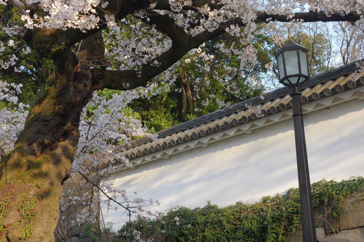 f:id:arashi_golf:20210325200003j:plain