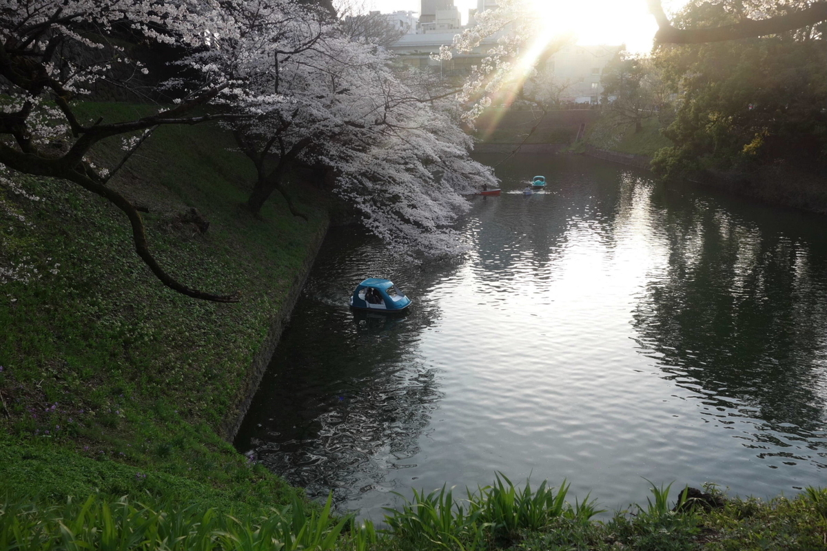 f:id:arashi_golf:20210325200402j:plain