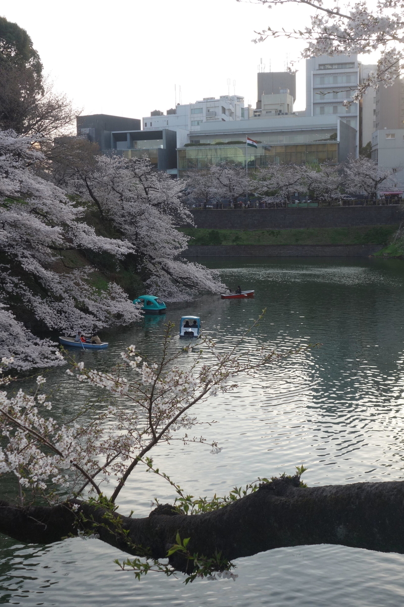 f:id:arashi_golf:20210325200603j:plain