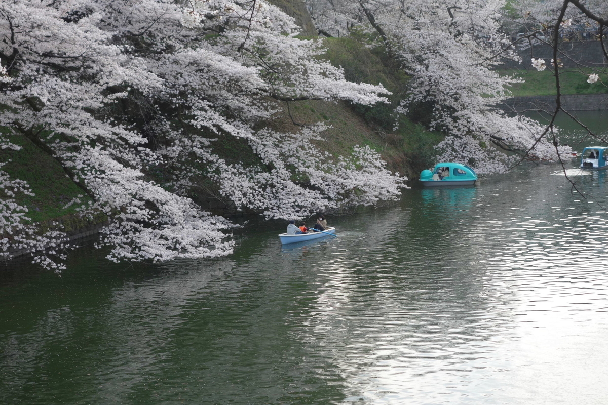 f:id:arashi_golf:20210325200704j:plain