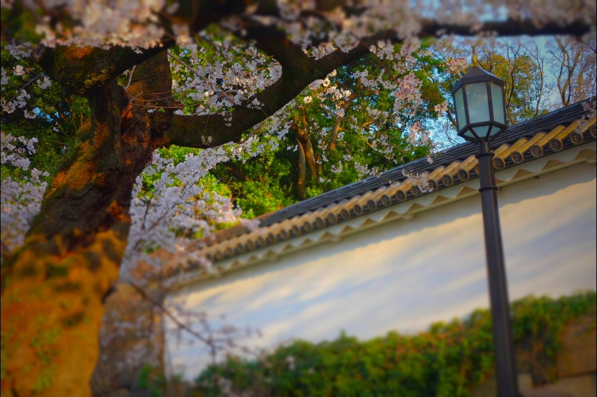 f:id:arashi_golf:20210328143504j:plain