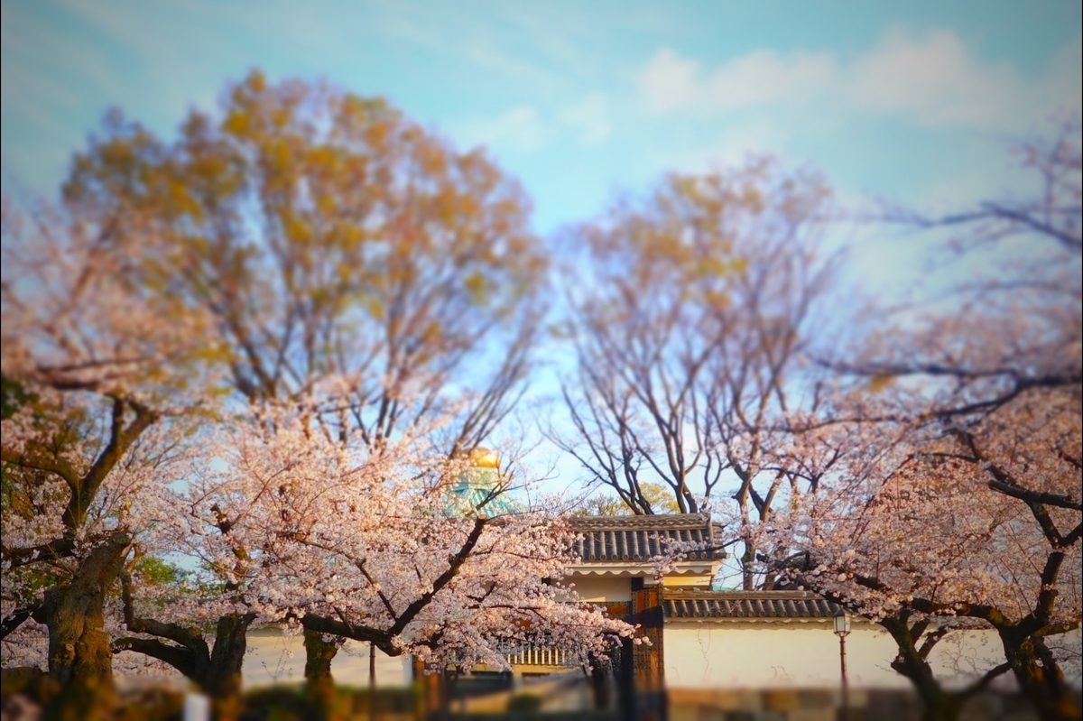f:id:arashi_golf:20210328143545j:plain