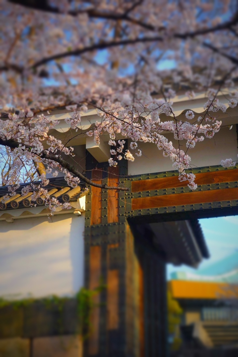 f:id:arashi_golf:20210328143611j:plain