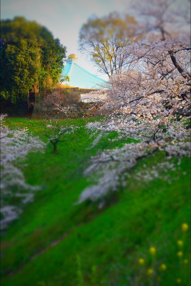 f:id:arashi_golf:20210328143833j:plain