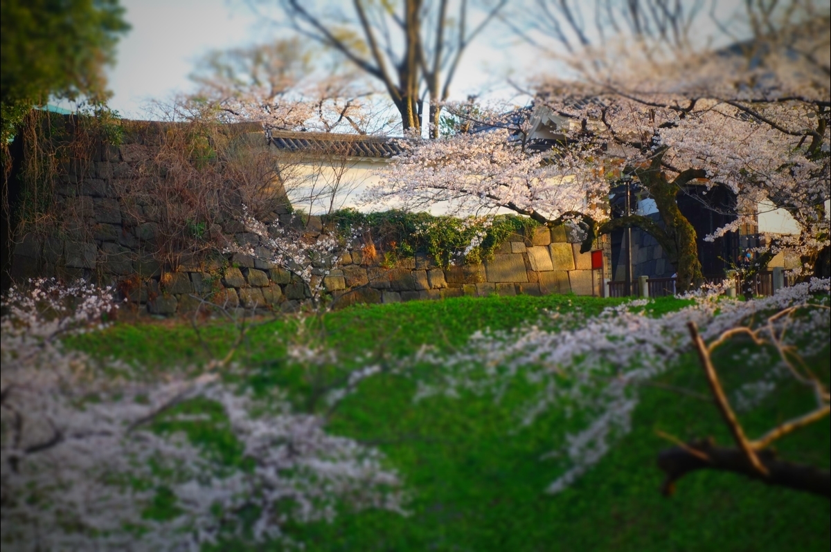 f:id:arashi_golf:20210328143849j:plain