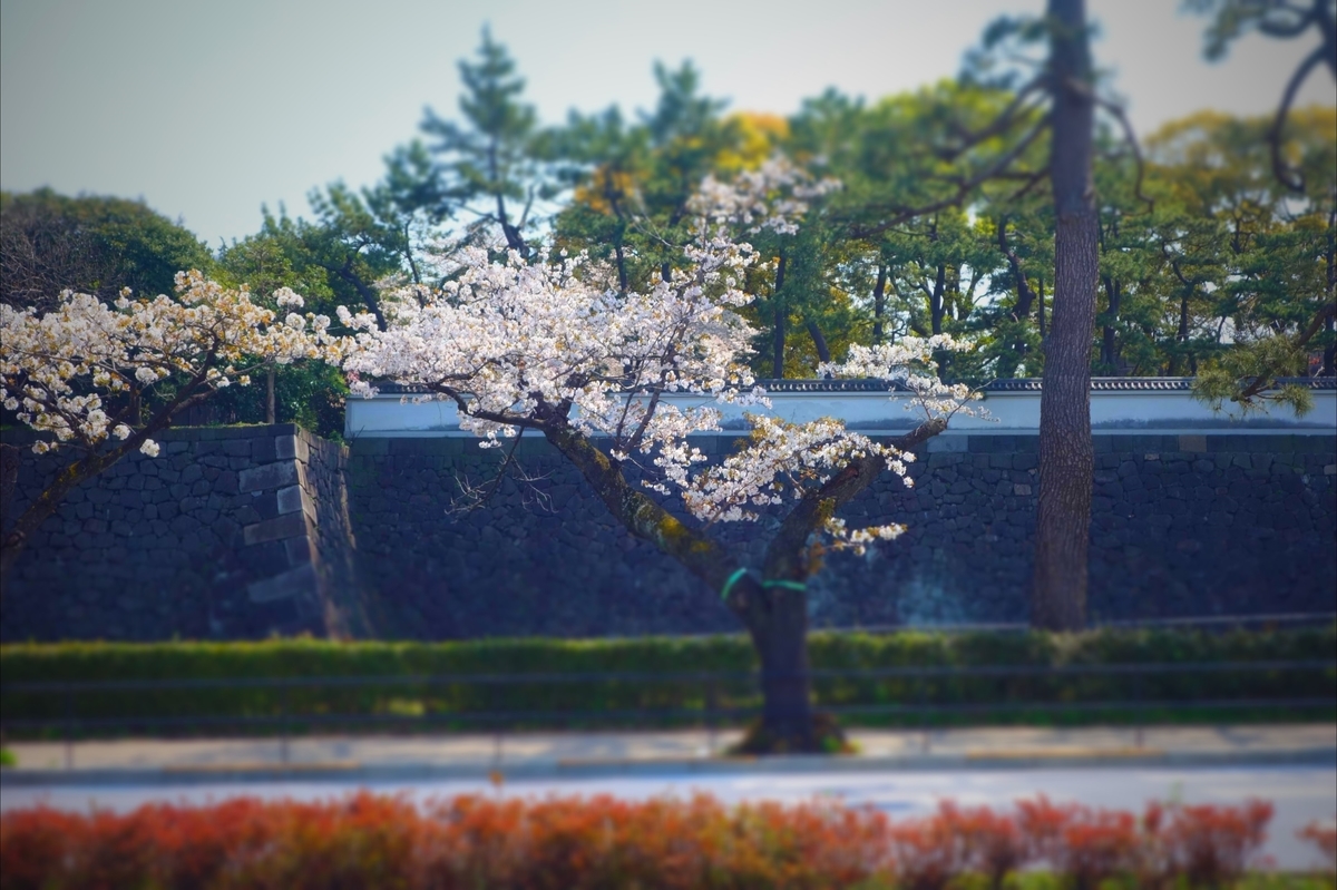 f:id:arashi_golf:20210331212606j:plain