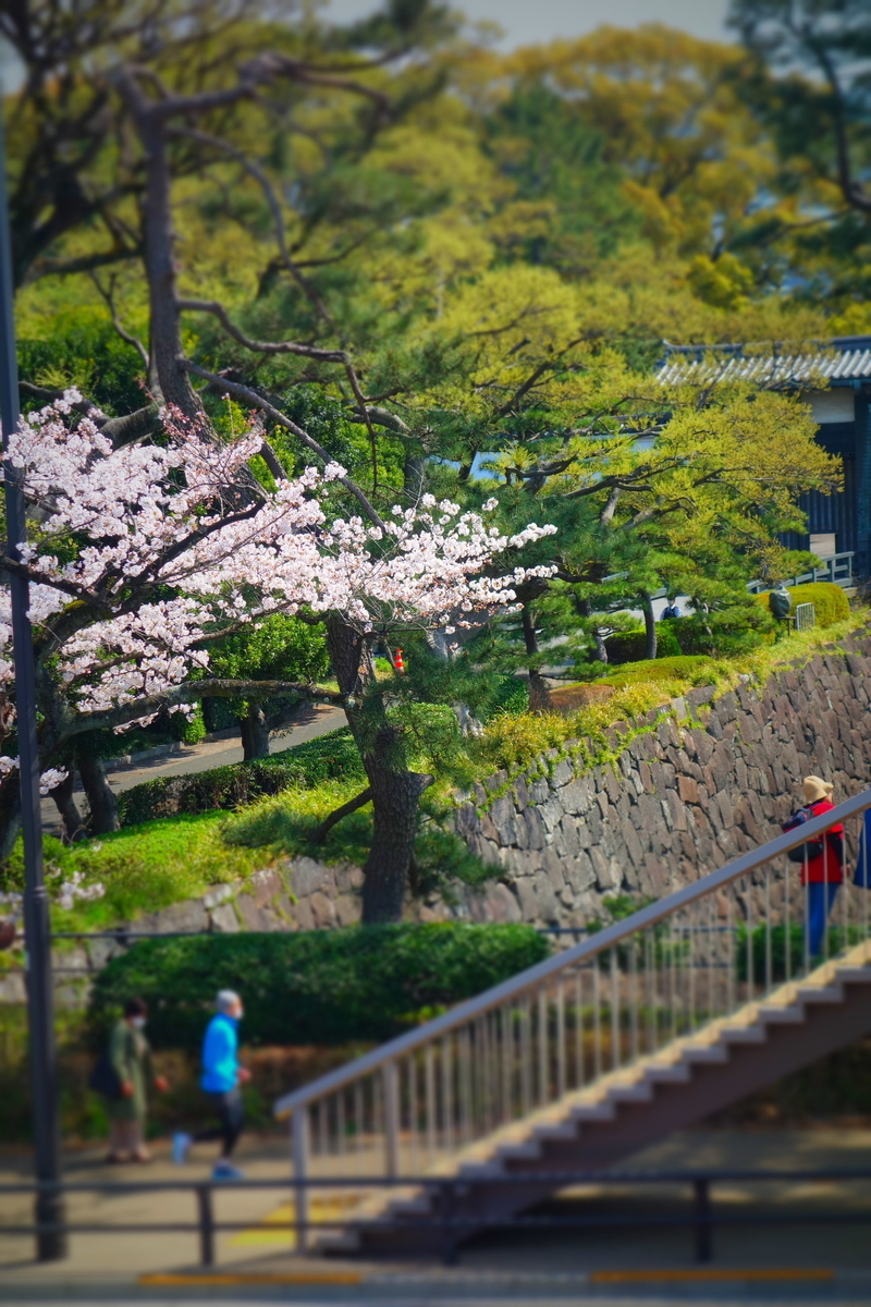 f:id:arashi_golf:20210331212800j:plain