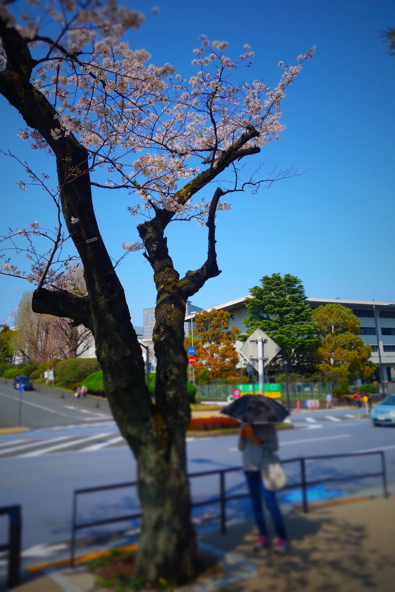 f:id:arashi_golf:20210331212942j:plain