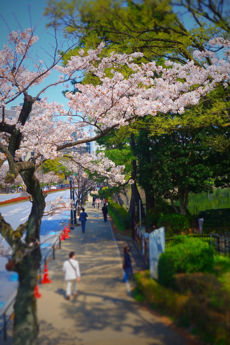 f:id:arashi_golf:20210331213013j:plain