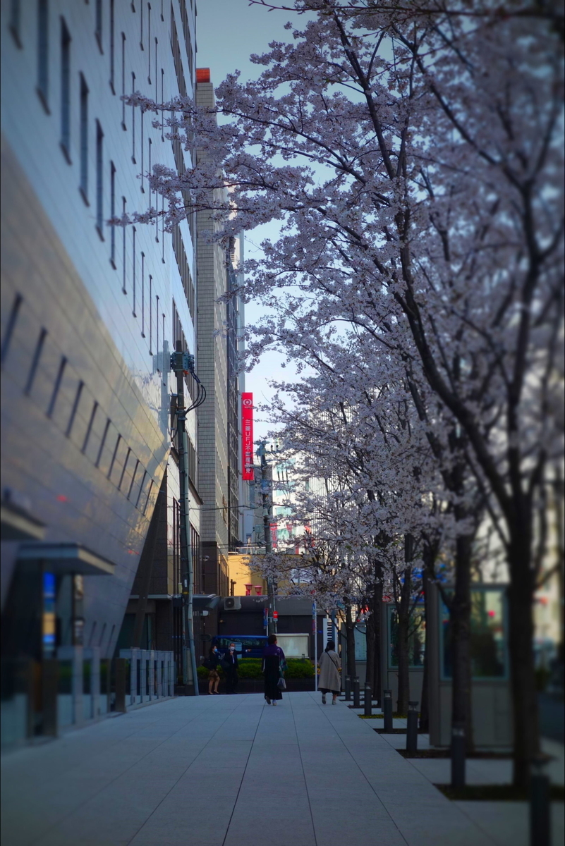 f:id:arashi_golf:20210404172950j:plain