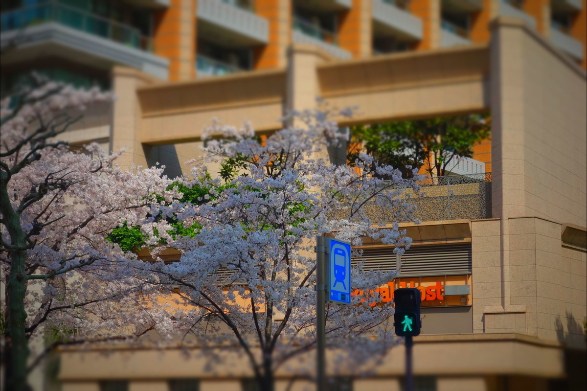 f:id:arashi_golf:20210404173131j:plain