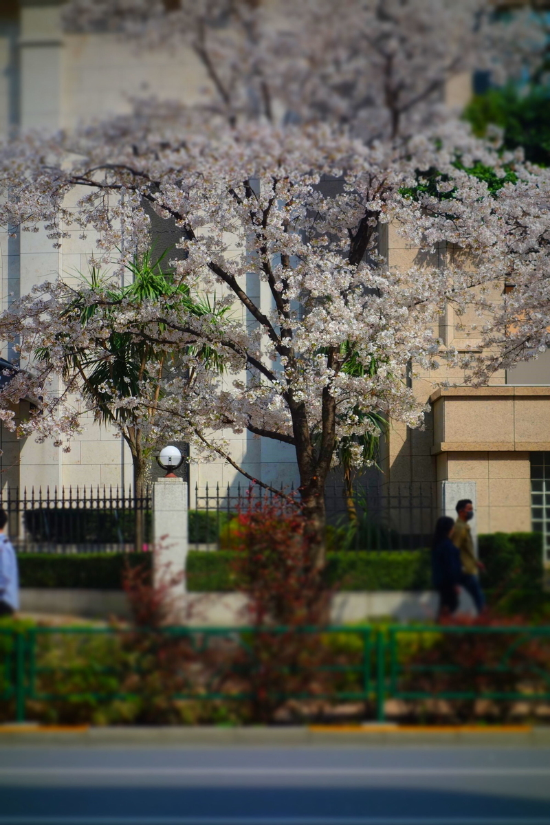 f:id:arashi_golf:20210404173258j:plain
