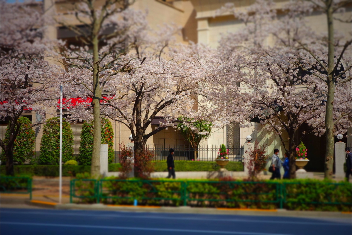 f:id:arashi_golf:20210404173352j:plain