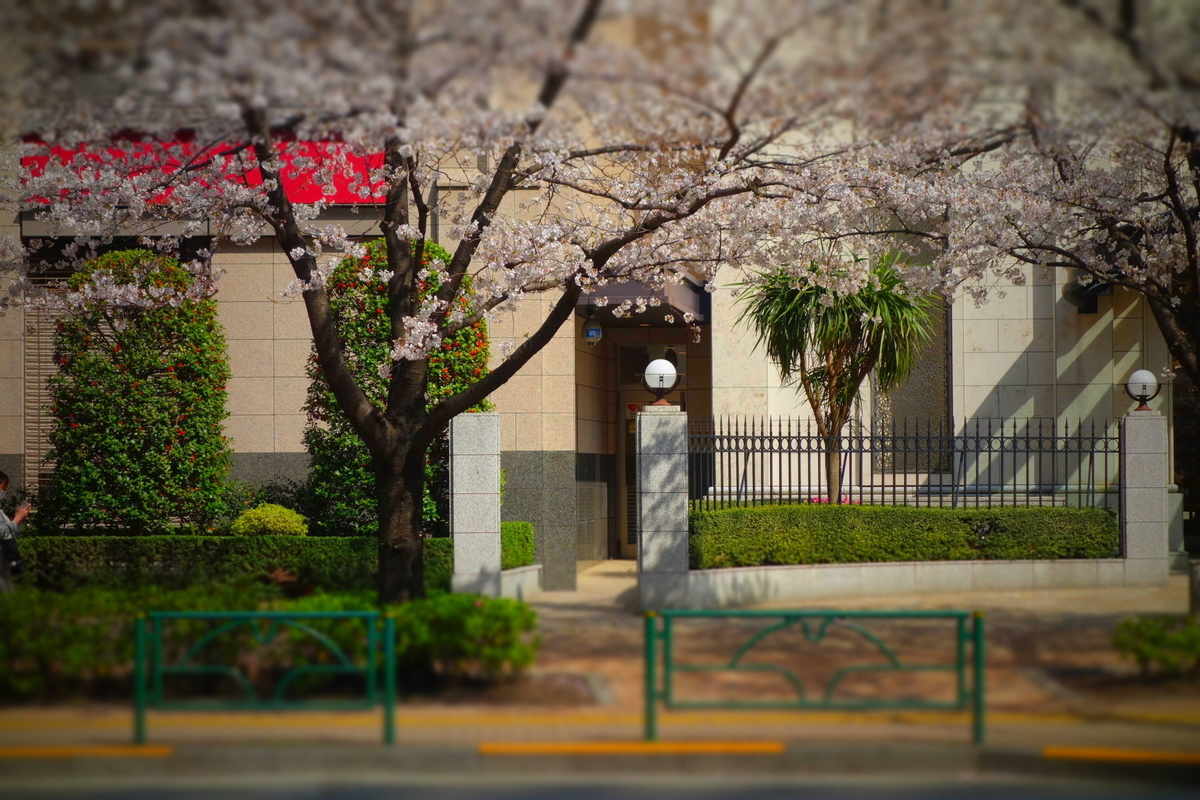 f:id:arashi_golf:20210404173459j:plain