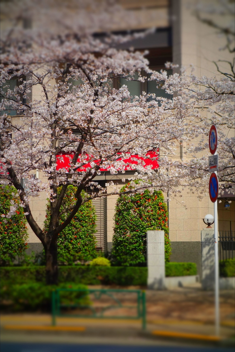 f:id:arashi_golf:20210404173514j:plain