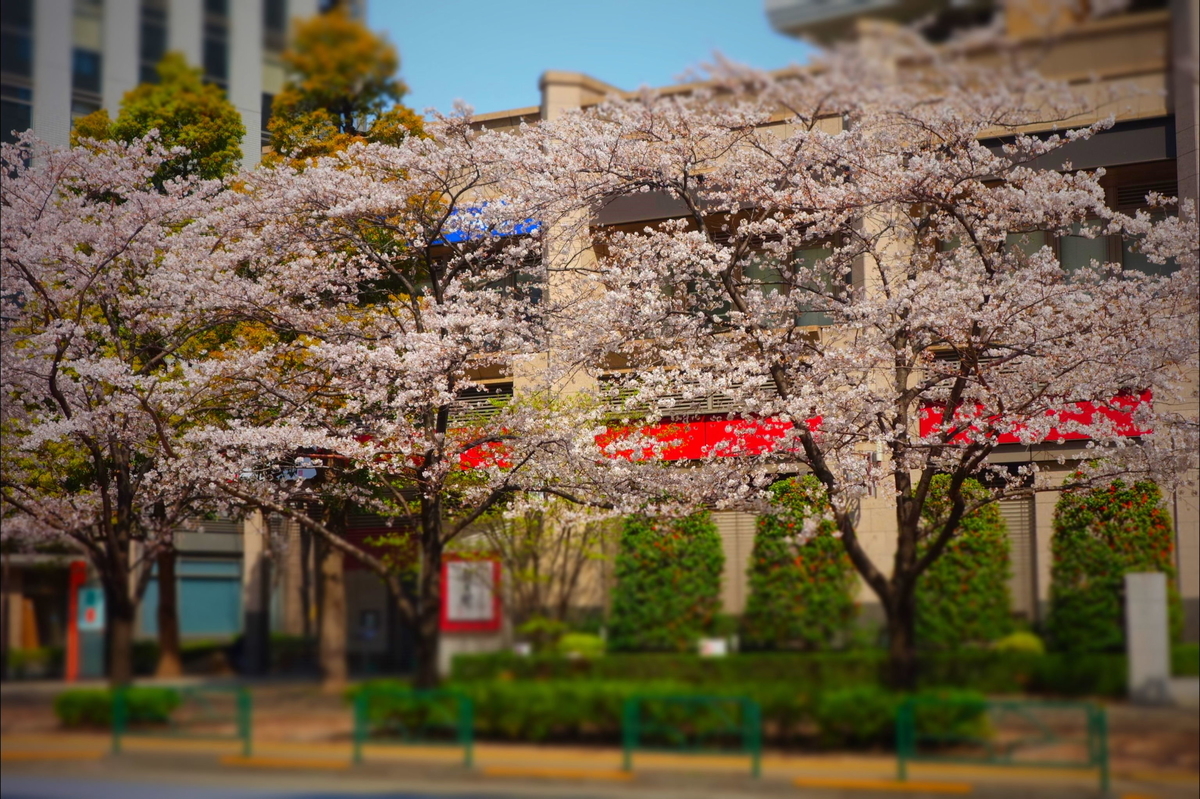 f:id:arashi_golf:20210404173536j:plain