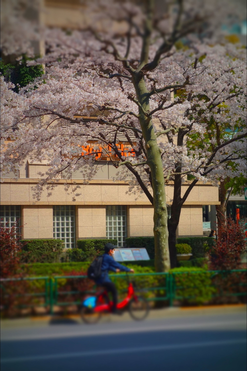 f:id:arashi_golf:20210404173605j:plain