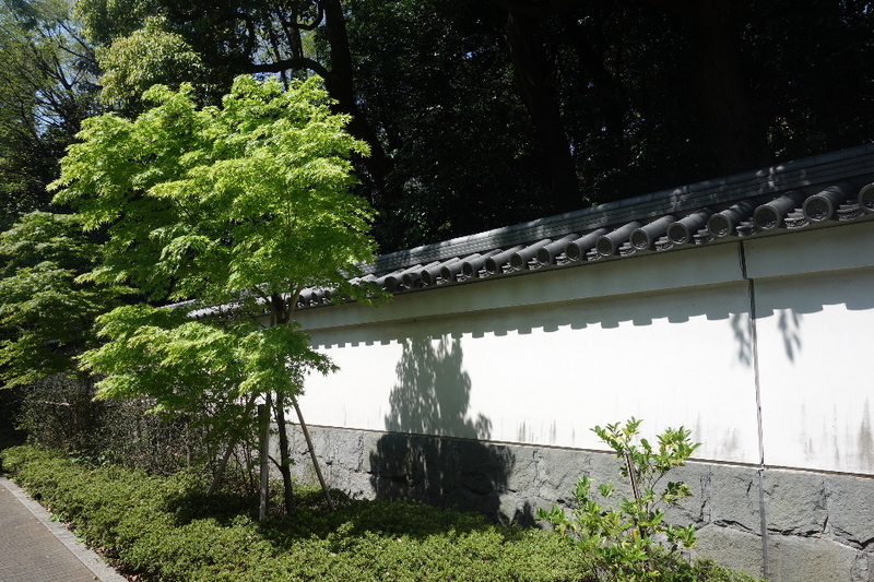 f:id:arashi_golf:20210411221933j:plain