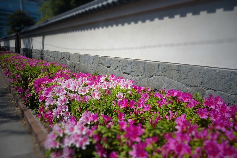 f:id:arashi_golf:20210411222047j:plain