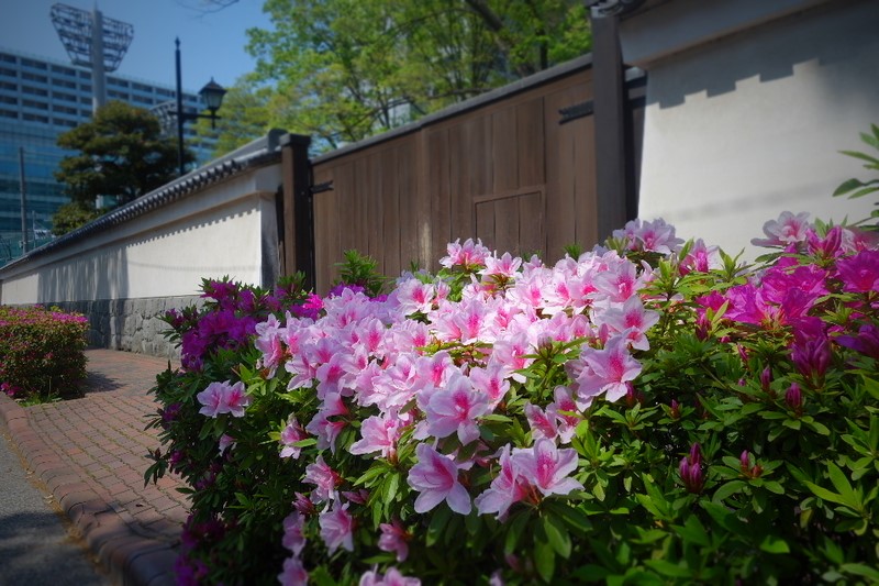 f:id:arashi_golf:20210411222102j:plain