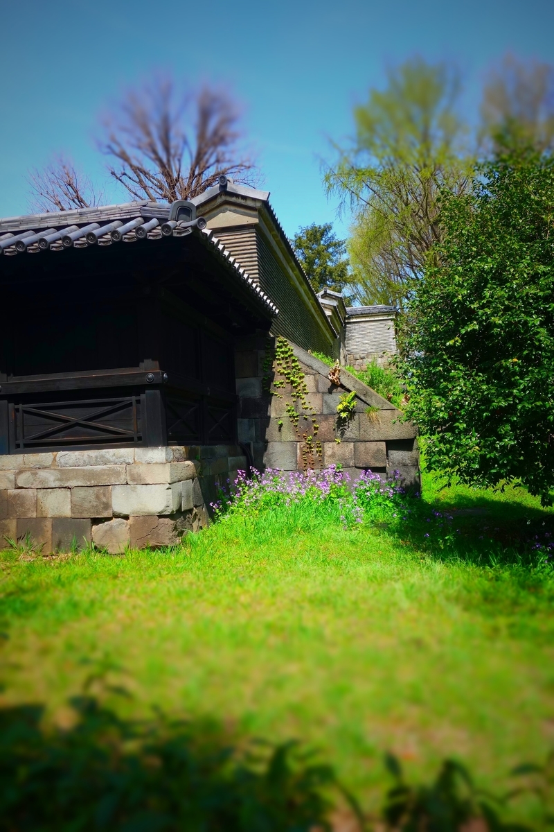 f:id:arashi_golf:20210417184644j:plain