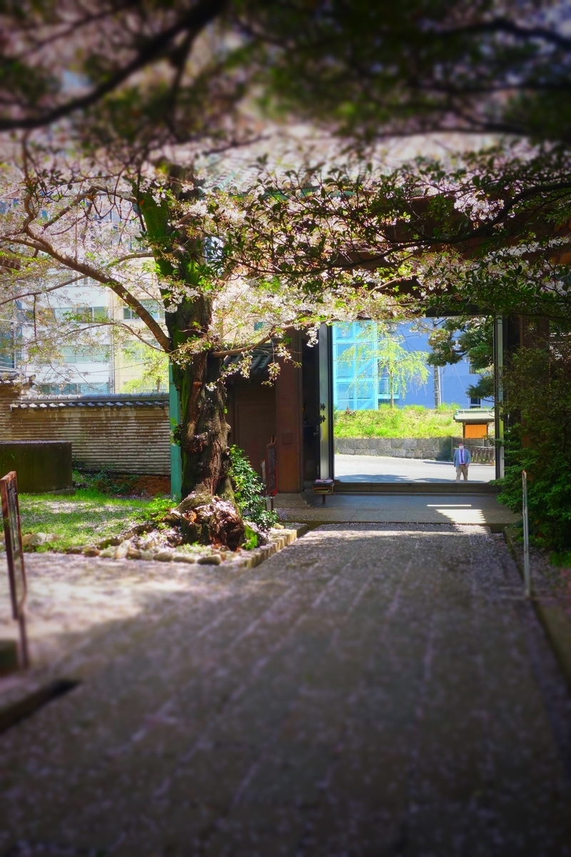 f:id:arashi_golf:20210417184711j:plain