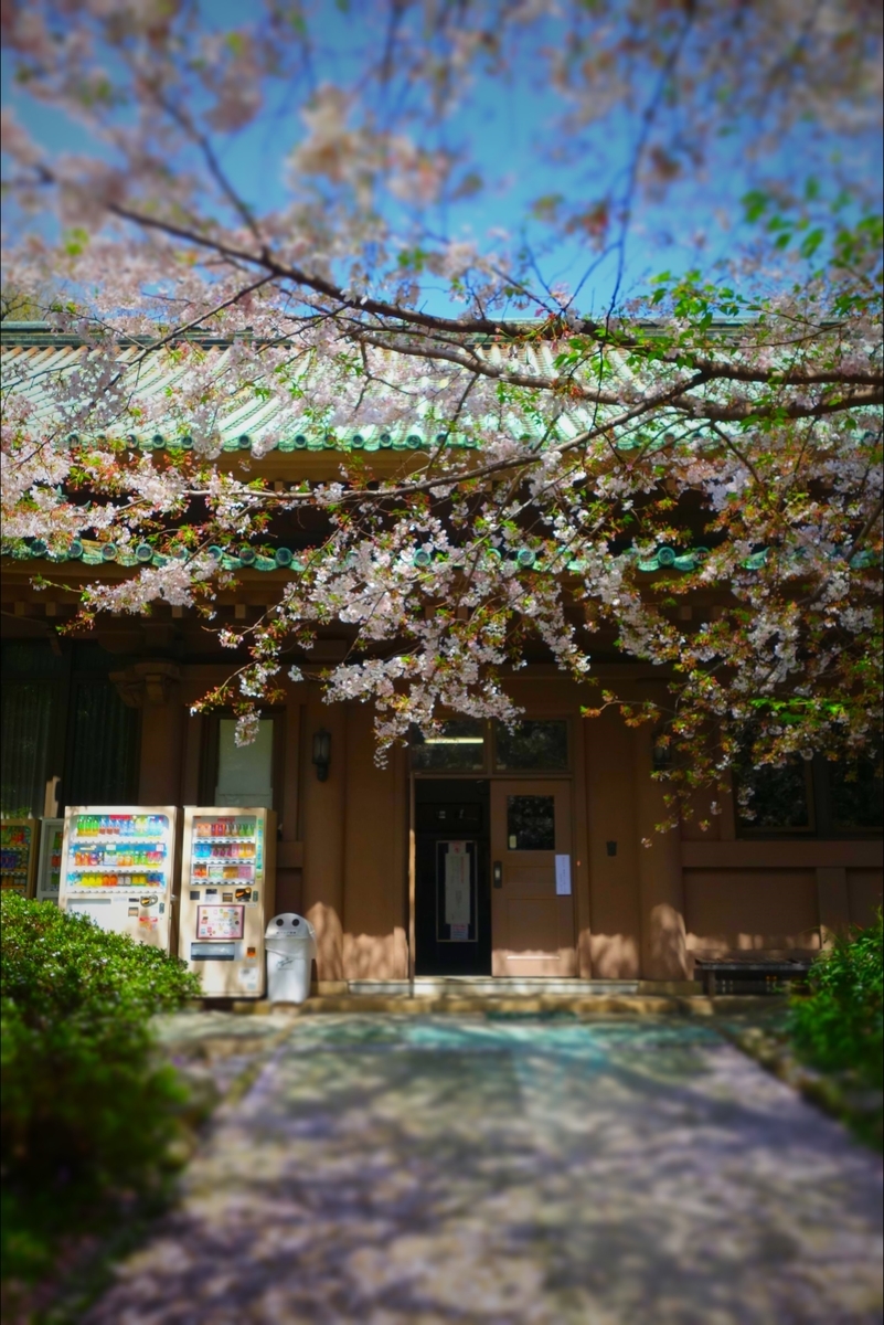 f:id:arashi_golf:20210417184728j:plain