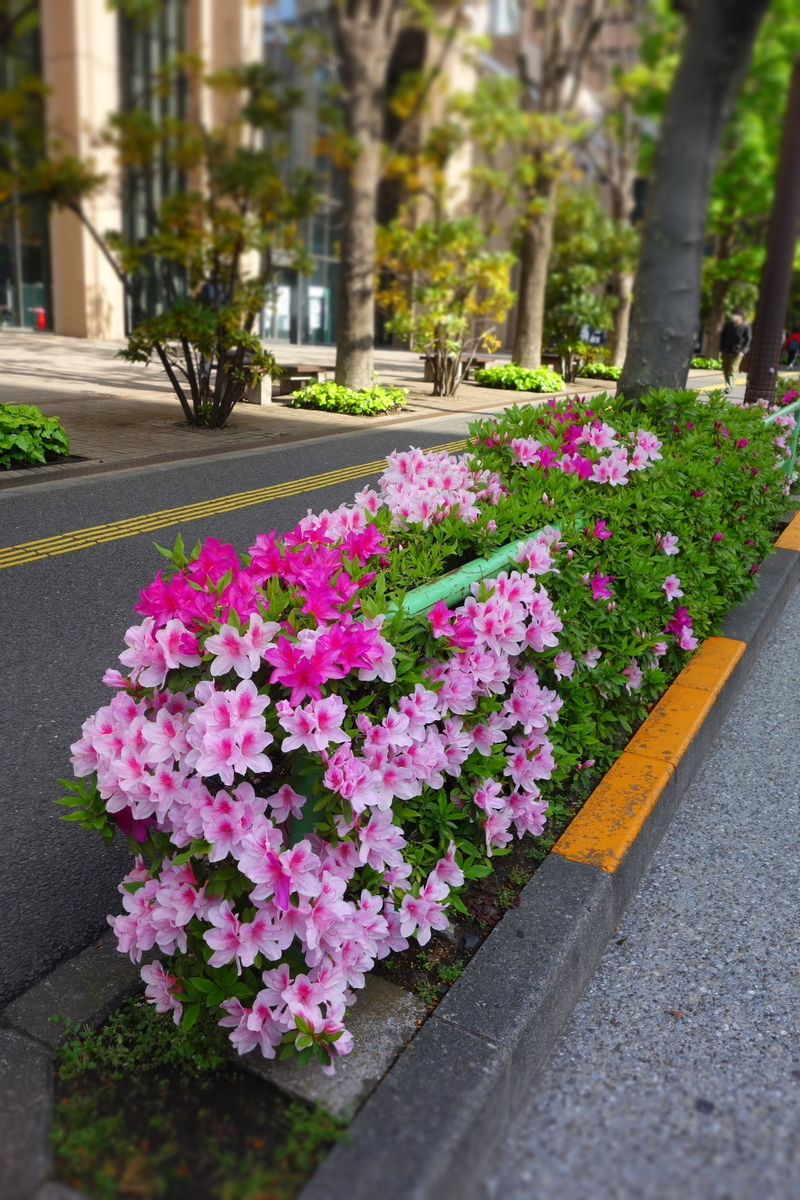 f:id:arashi_golf:20210418222557j:plain