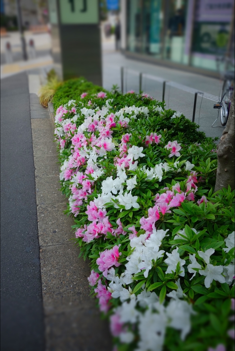 f:id:arashi_golf:20210418223134j:plain