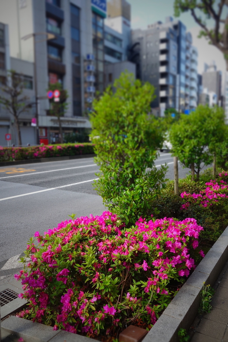f:id:arashi_golf:20210418223158j:plain