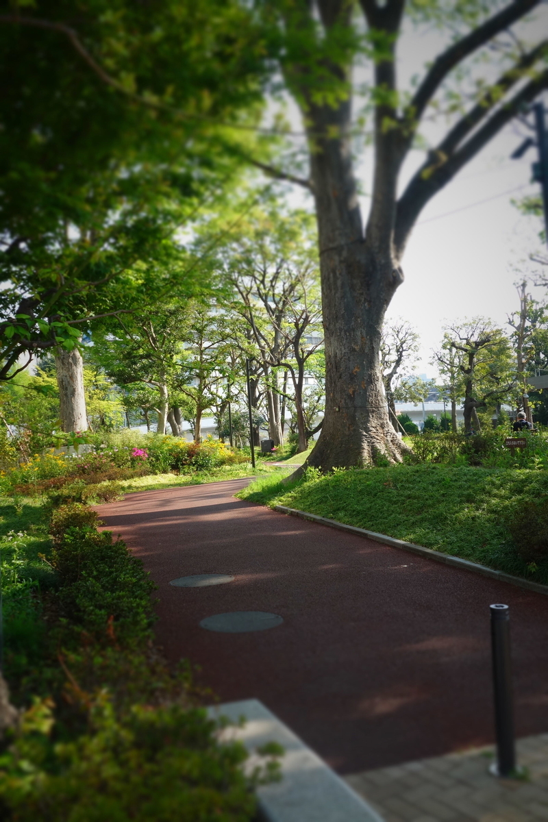 f:id:arashi_golf:20210419213239j:plain