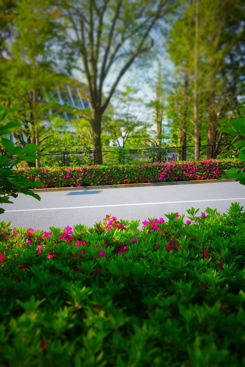f:id:arashi_golf:20210420202336j:plain