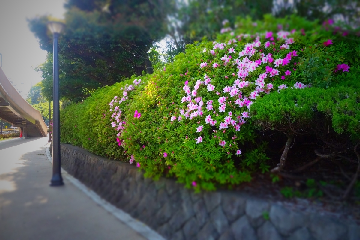 f:id:arashi_golf:20210426201305j:plain