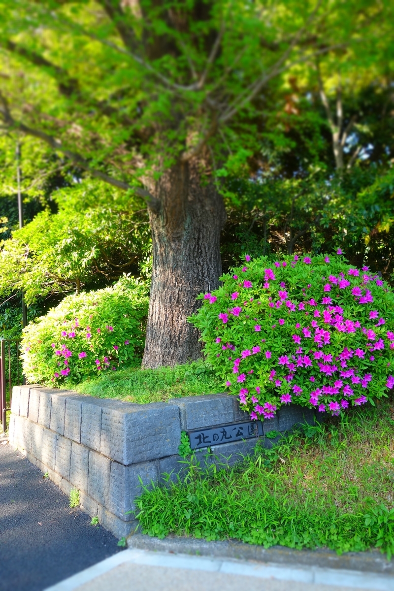 f:id:arashi_golf:20210426201420j:plain