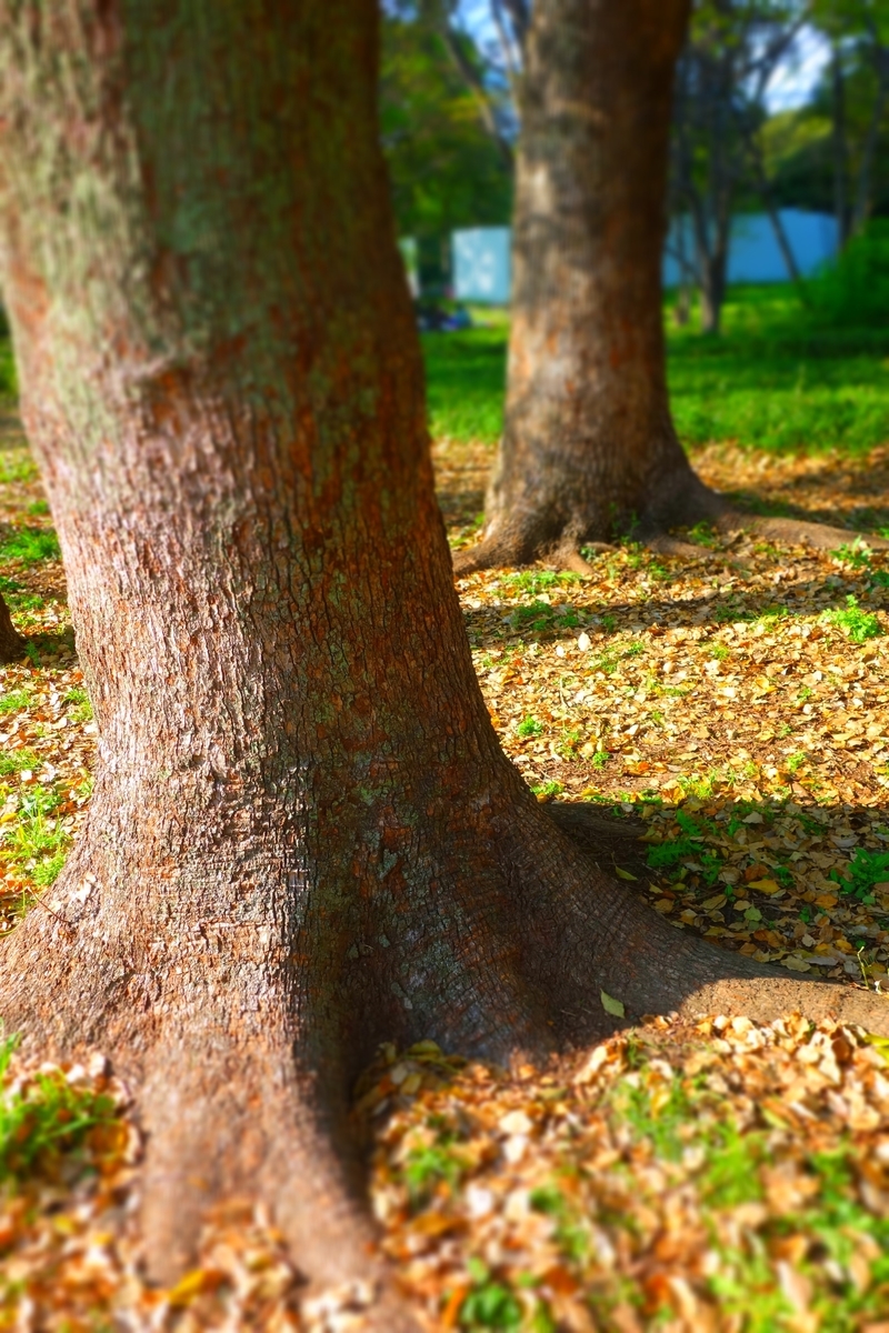 f:id:arashi_golf:20210427210927j:plain