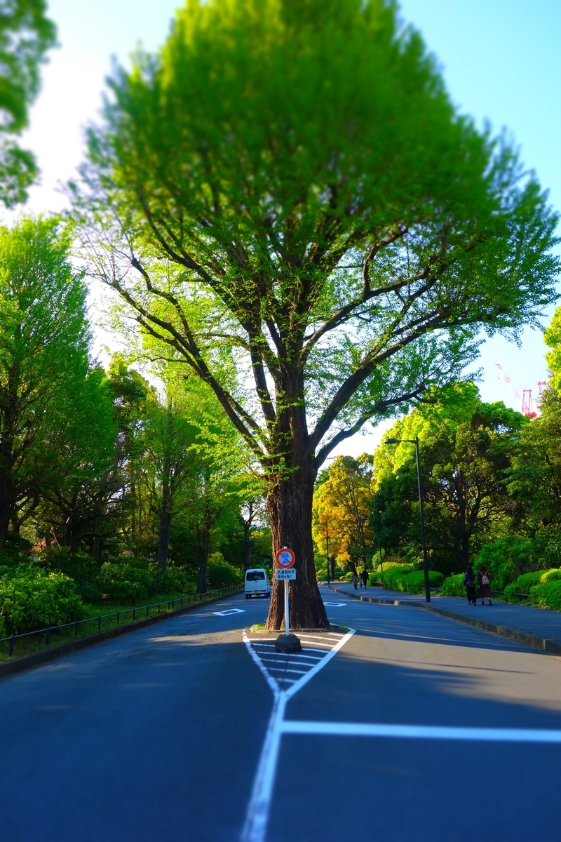 f:id:arashi_golf:20210427211002j:plain