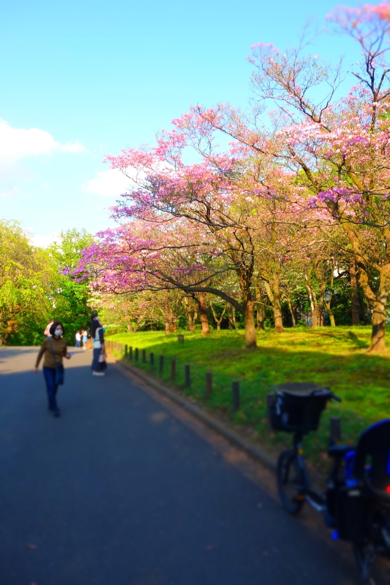 f:id:arashi_golf:20210427211430j:plain