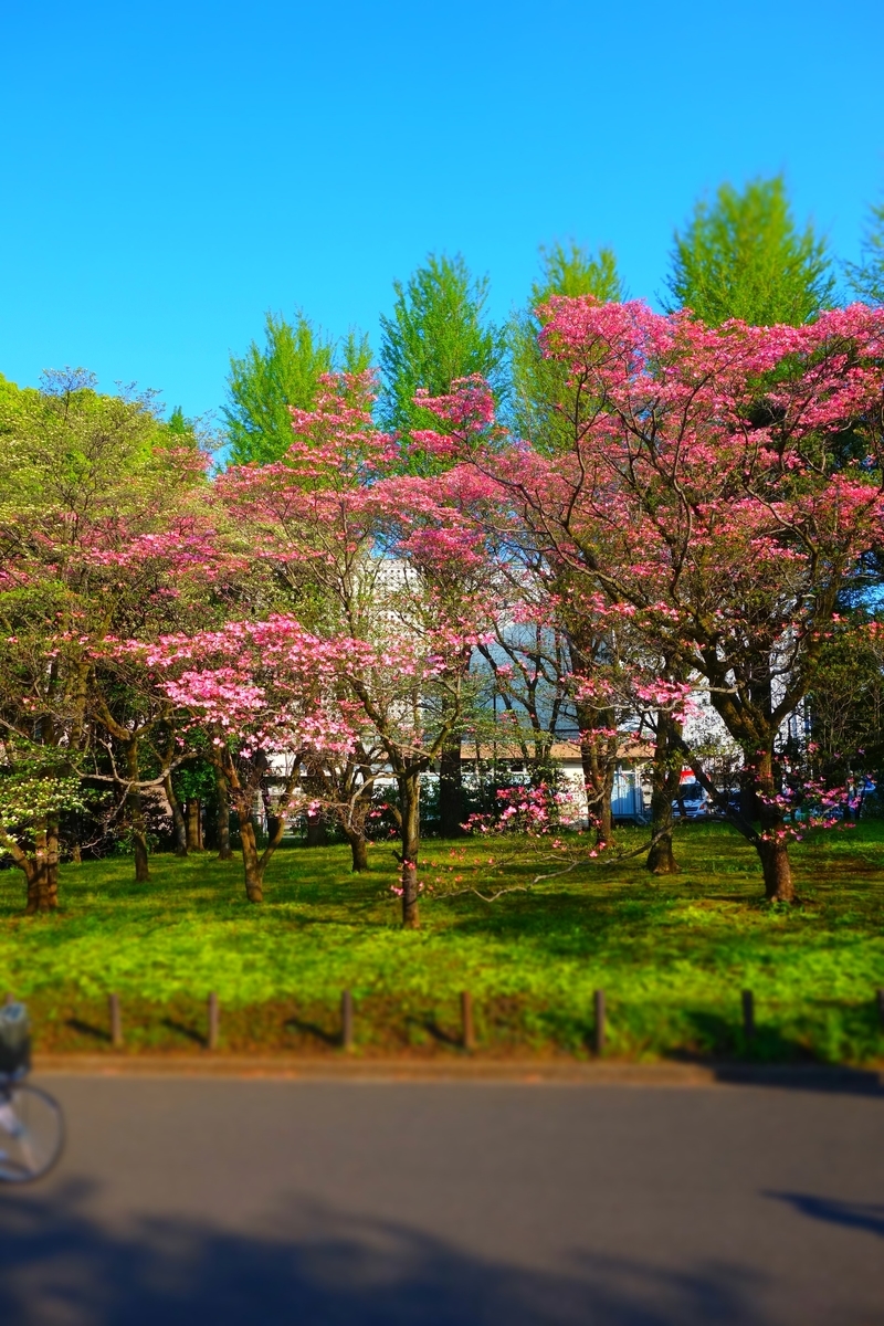 f:id:arashi_golf:20210427211504j:plain