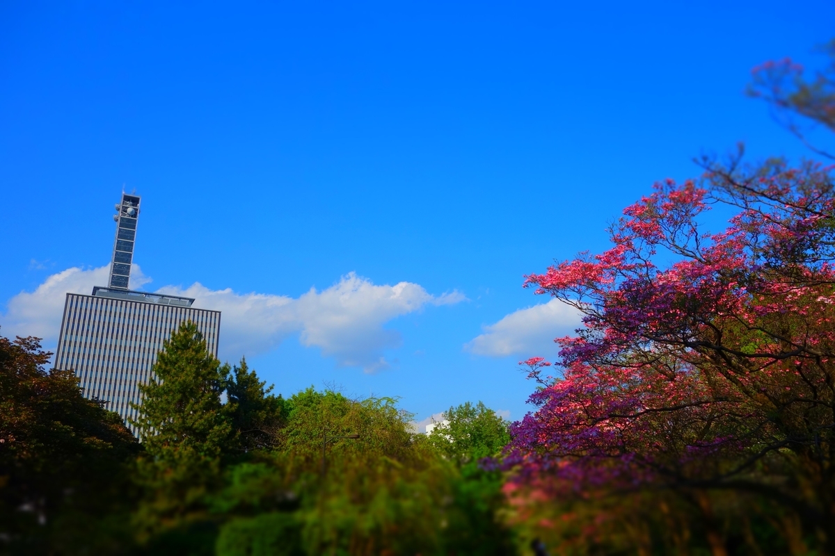 f:id:arashi_golf:20210427211641j:plain