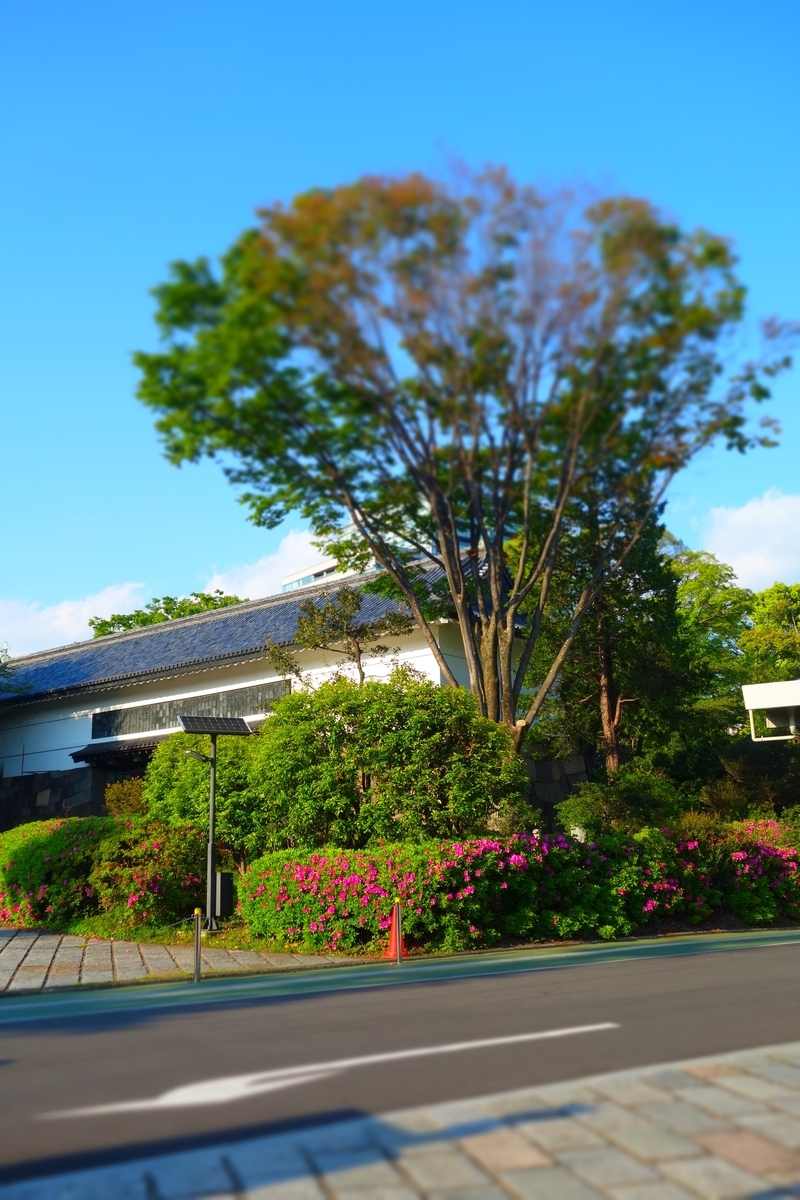 f:id:arashi_golf:20210429200826j:plain