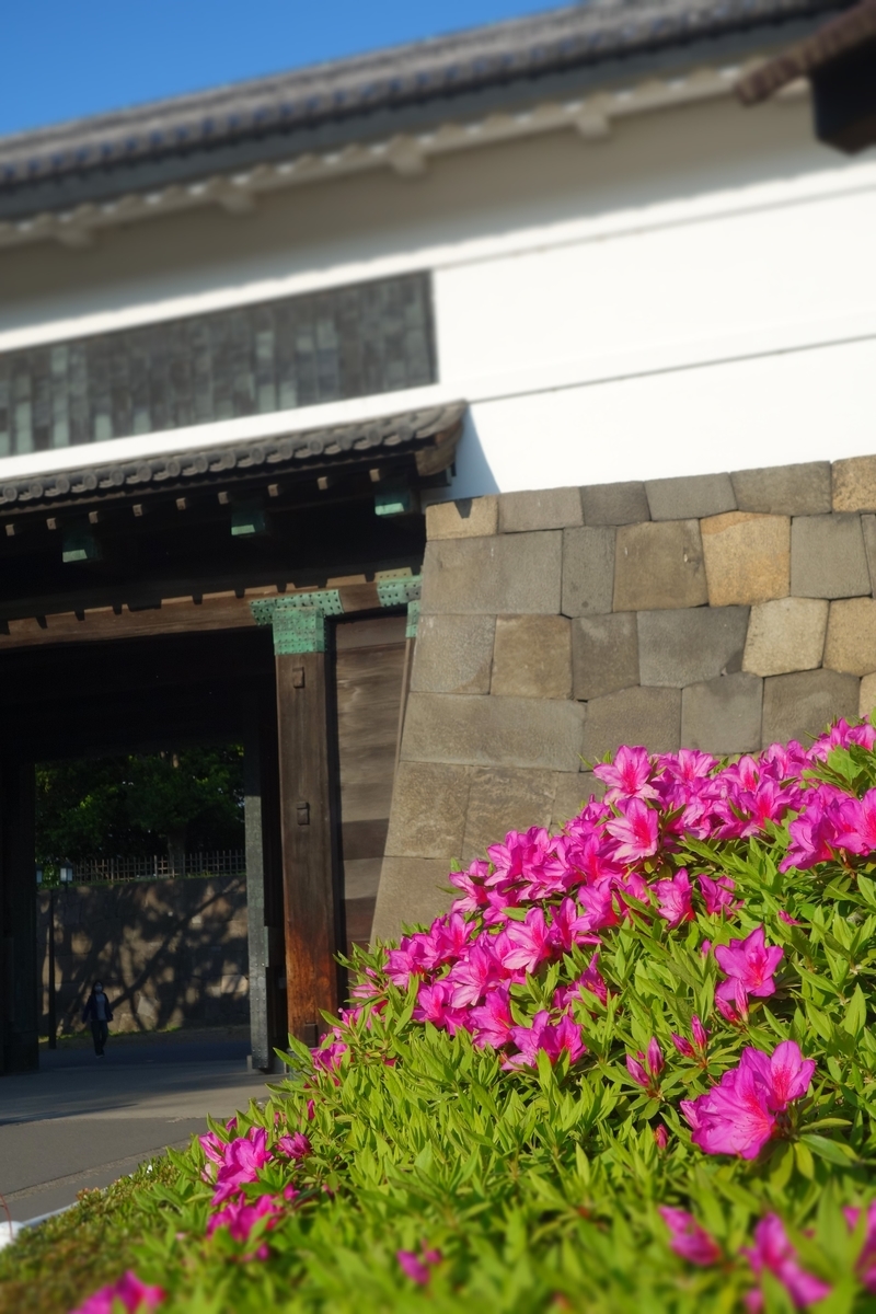 f:id:arashi_golf:20210429201012j:plain